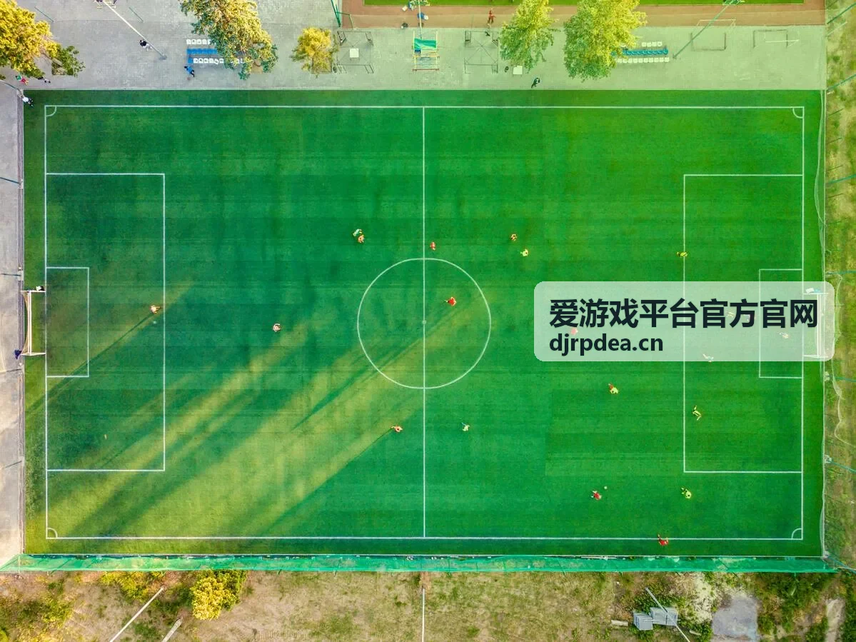 爱游戏平台官方官网账号安全设置示意